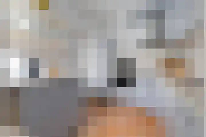 Stetwaard 122 Alkmaar thumbnail 12