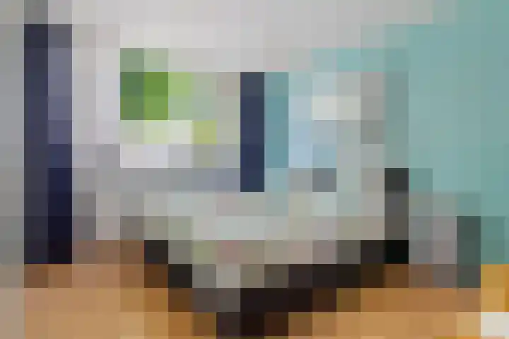 Stetwaard 122 Alkmaar thumbnail 16