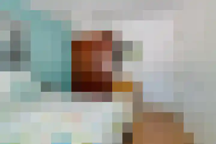 Stetwaard 122 Alkmaar thumbnail 17