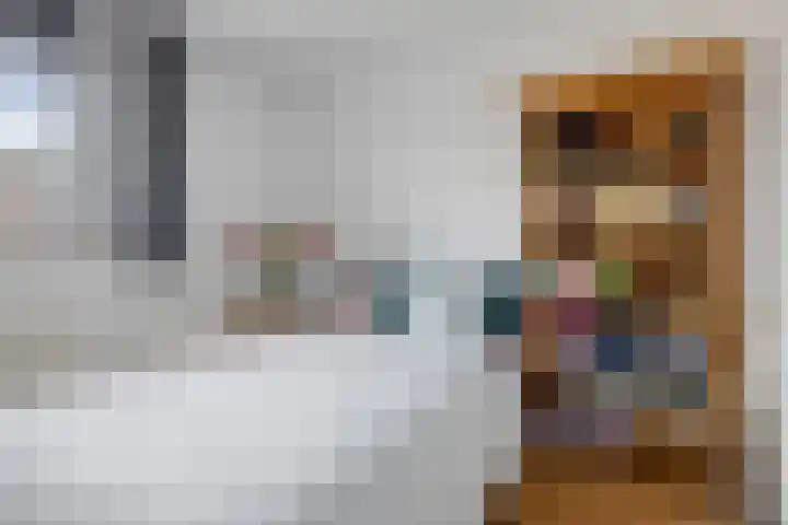 Stetwaard 122 Alkmaar thumbnail 20
