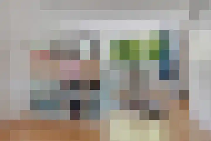 Stetwaard 122 Alkmaar thumbnail 26