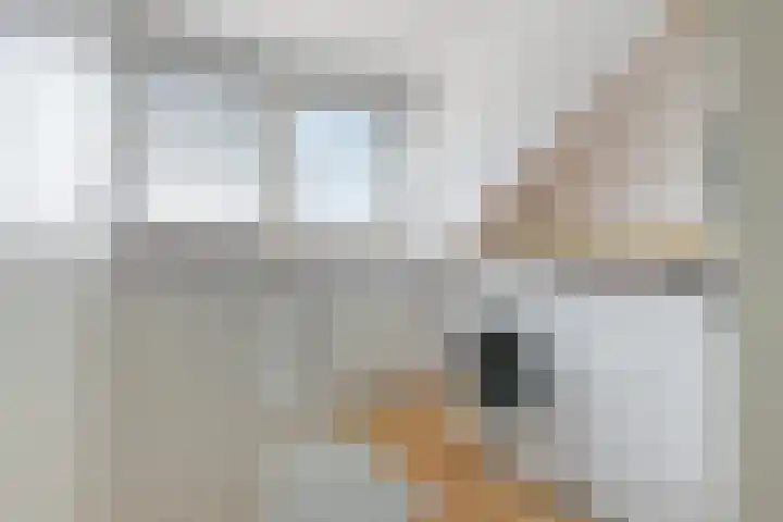 Stetwaard 122 Alkmaar thumbnail 28