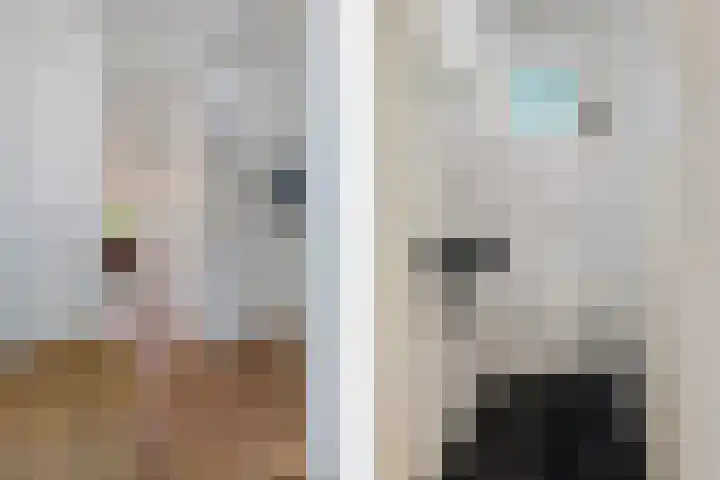 Stetwaard 122 Alkmaar thumbnail 34