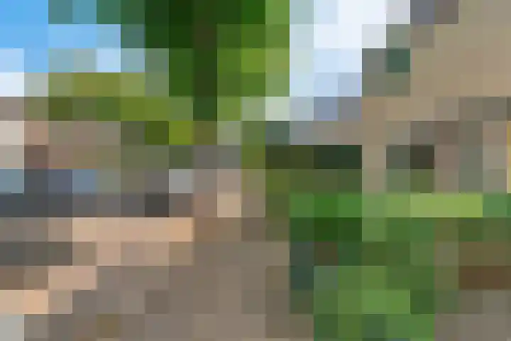 Stetwaard 122 Alkmaar thumbnail 35