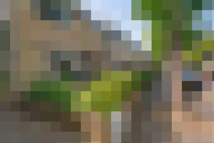 Stetwaard 122 Alkmaar thumbnail 36