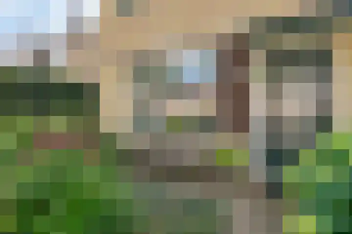 Stetwaard 122 Alkmaar thumbnail 41