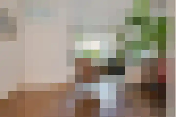 Stetwaard 122 Alkmaar thumbnail 6