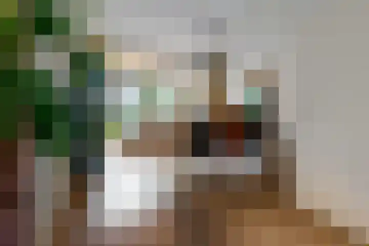 Stetwaard 122 Alkmaar thumbnail 7