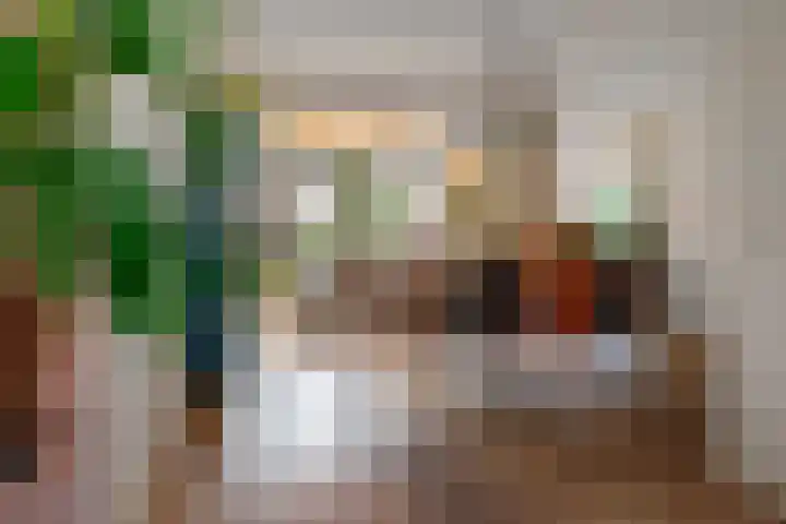 Stetwaard 122 Alkmaar thumbnail 8