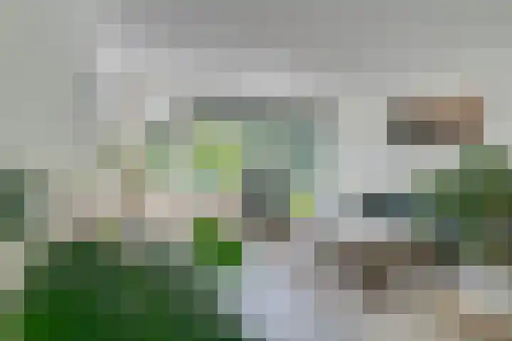 Stetwaard 150 Alkmaar thumbnail 10