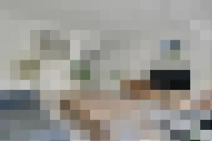 Stetwaard 150 Alkmaar thumbnail 11