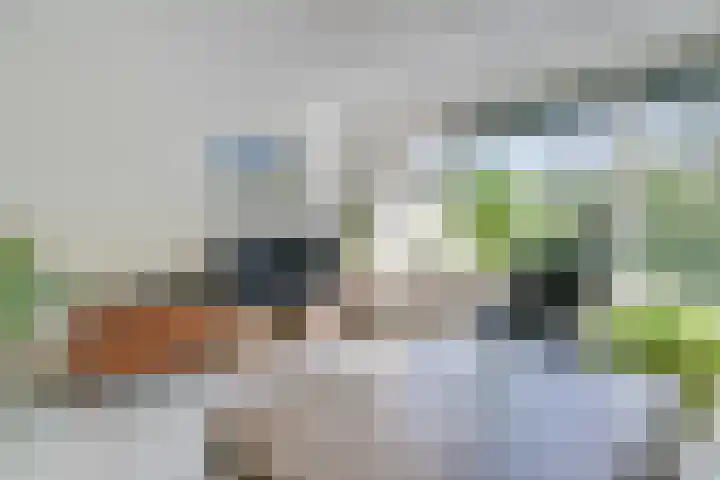Stetwaard 150 Alkmaar thumbnail 12
