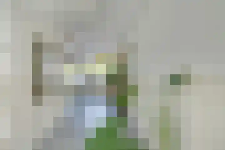 Stetwaard 150 Alkmaar thumbnail 13