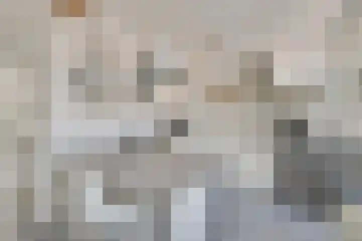 Stetwaard 150 Alkmaar thumbnail 15