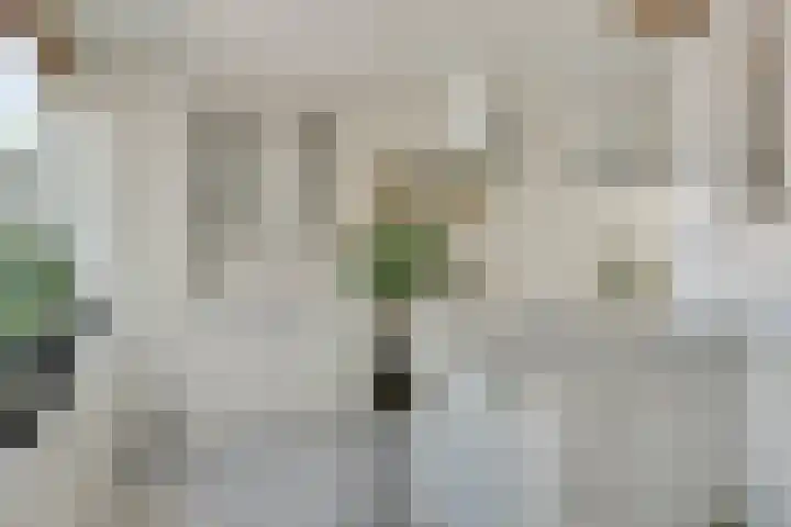 Stetwaard 150 Alkmaar thumbnail 17