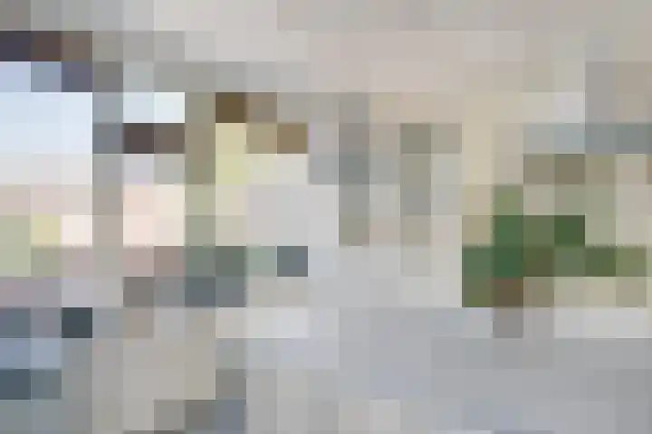 Stetwaard 150 Alkmaar thumbnail 18