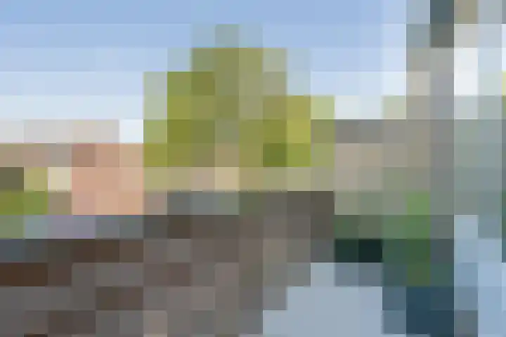 Stetwaard 150 Alkmaar thumbnail 20