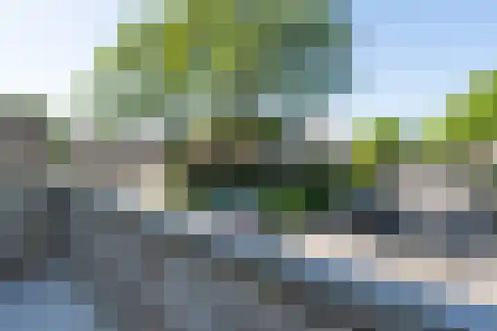 Stetwaard 150 Alkmaar thumbnail 21
