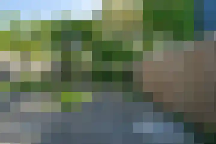 Stetwaard 150 Alkmaar thumbnail 39