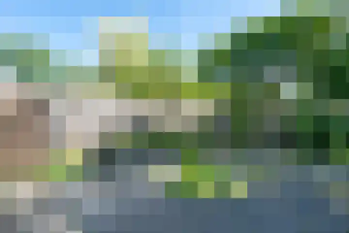 Stetwaard 150 Alkmaar thumbnail 40