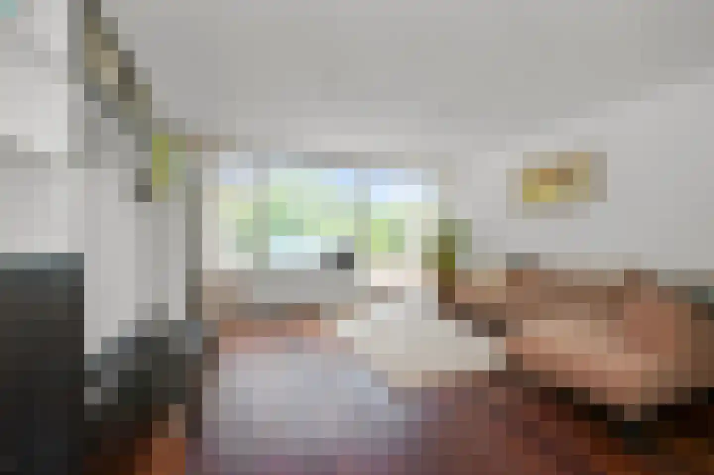 Stetwaard 164 Alkmaar thumbnail 17