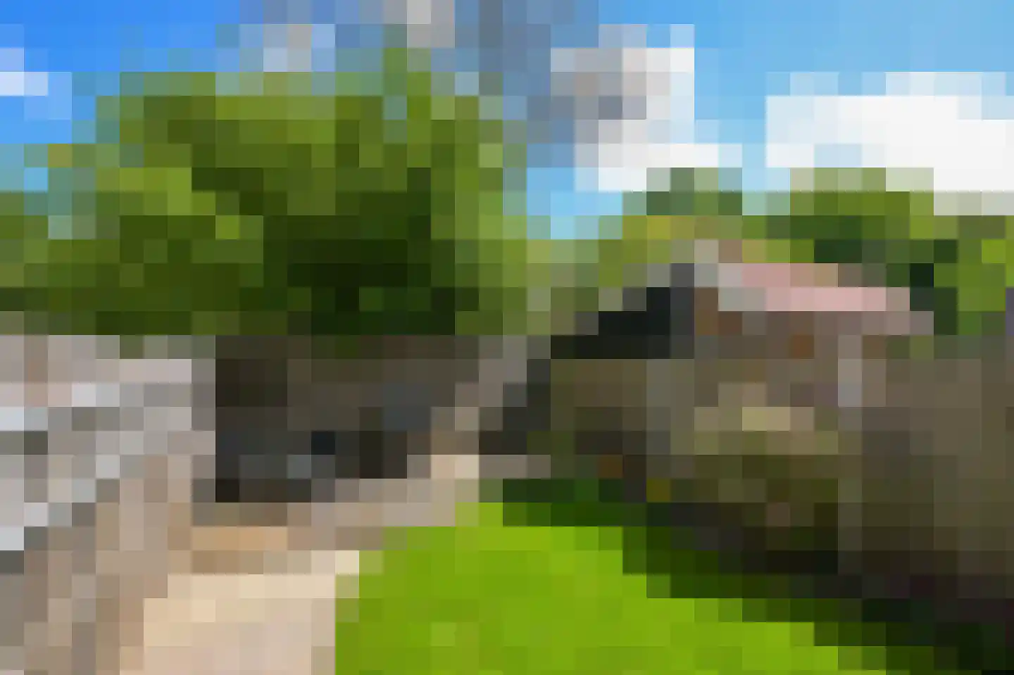 Stetwaard 164 Alkmaar thumbnail 35