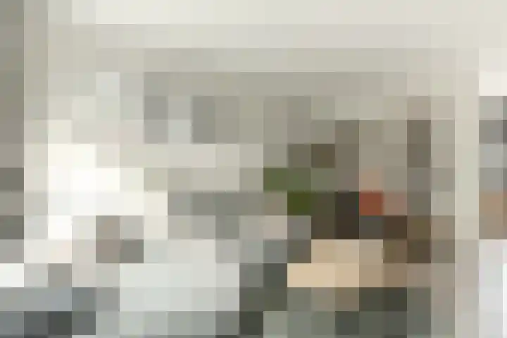 Stetwaard 26 Alkmaar thumbnail 10