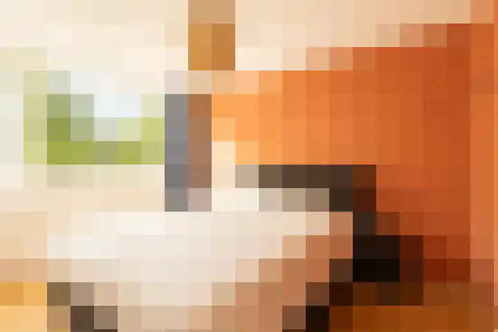 Stetwaard 26 Alkmaar thumbnail 21