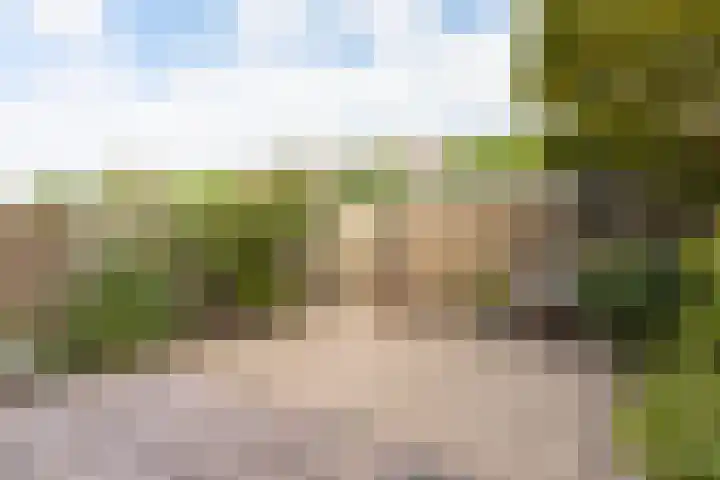 Stetwaard 26 Alkmaar thumbnail 38
