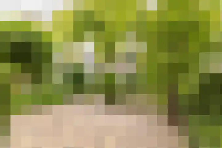 Stetwaard 26 Alkmaar thumbnail 4
