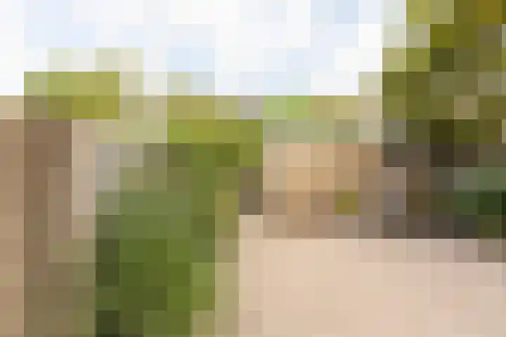 Stetwaard 26 Alkmaar thumbnail 41