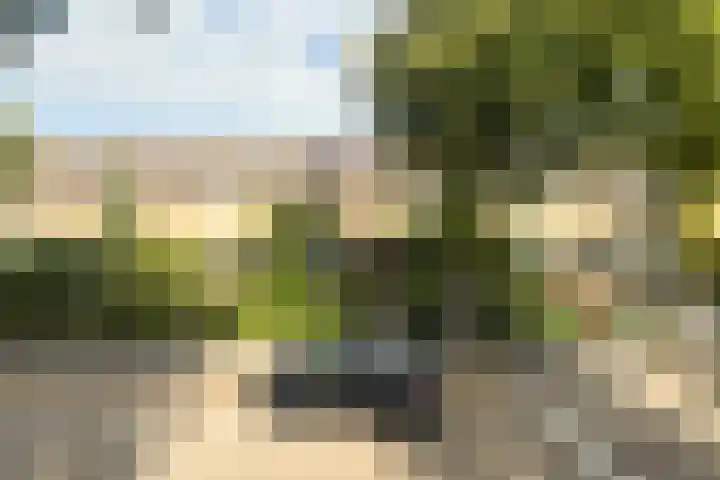 Stetwaard 26 Alkmaar thumbnail 43