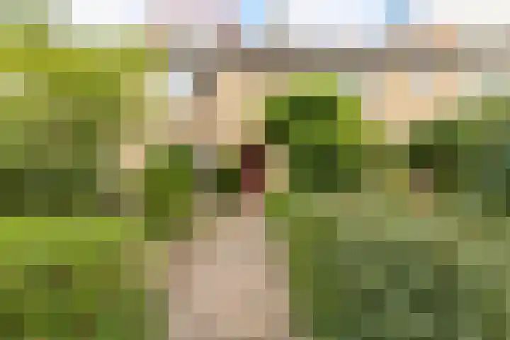 Stetwaard 26 Alkmaar thumbnail 44