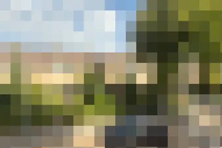 Stetwaard 26 Alkmaar thumbnail 47