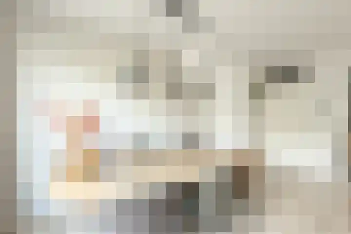Stetwaard 26 Alkmaar thumbnail 7