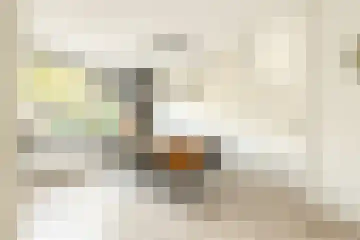 Stetwaard 26 Alkmaar thumbnail 8