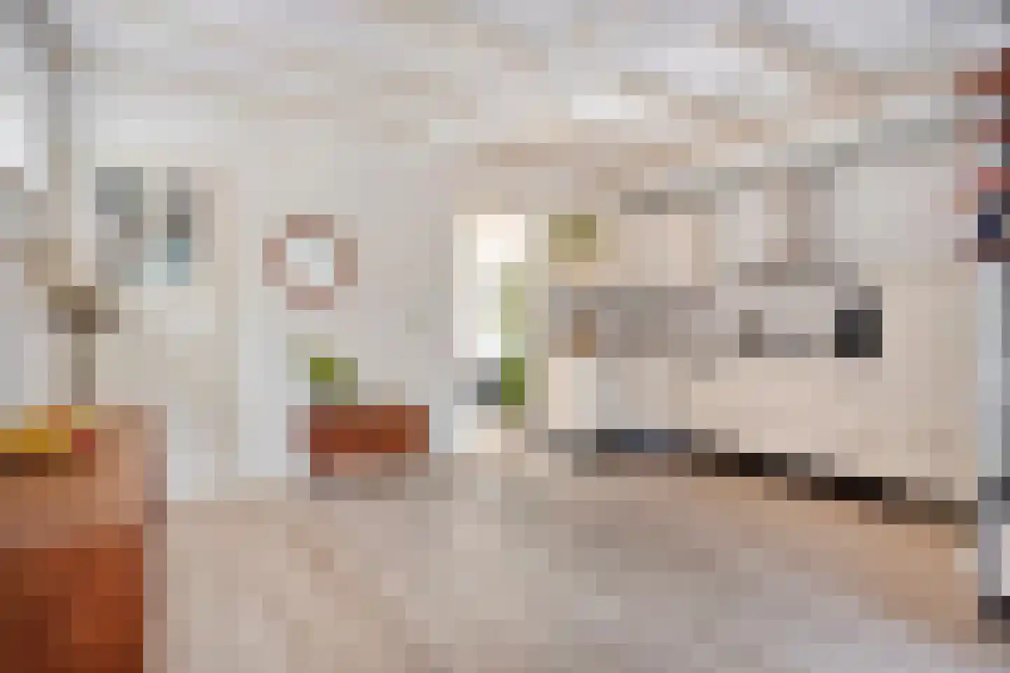 Stetweg 10 Castricum thumbnail 11