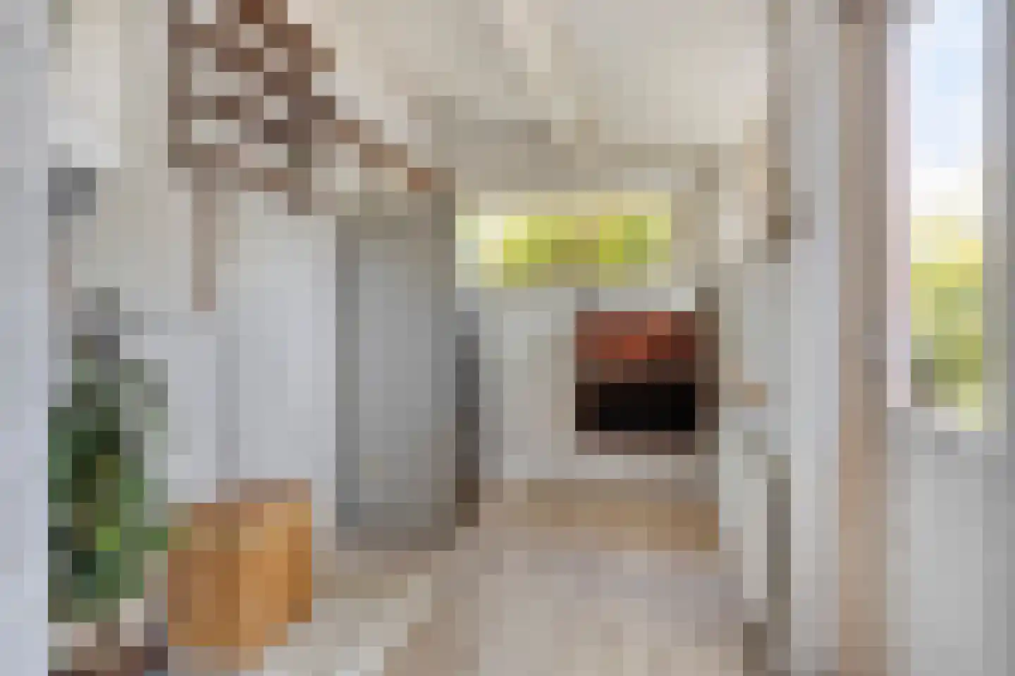 Stetweg 10 Castricum thumbnail 14