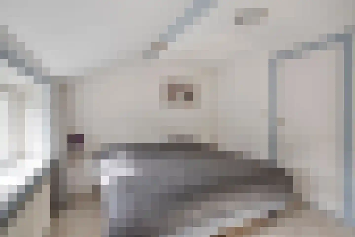 Stetweg 10 Castricum thumbnail 17