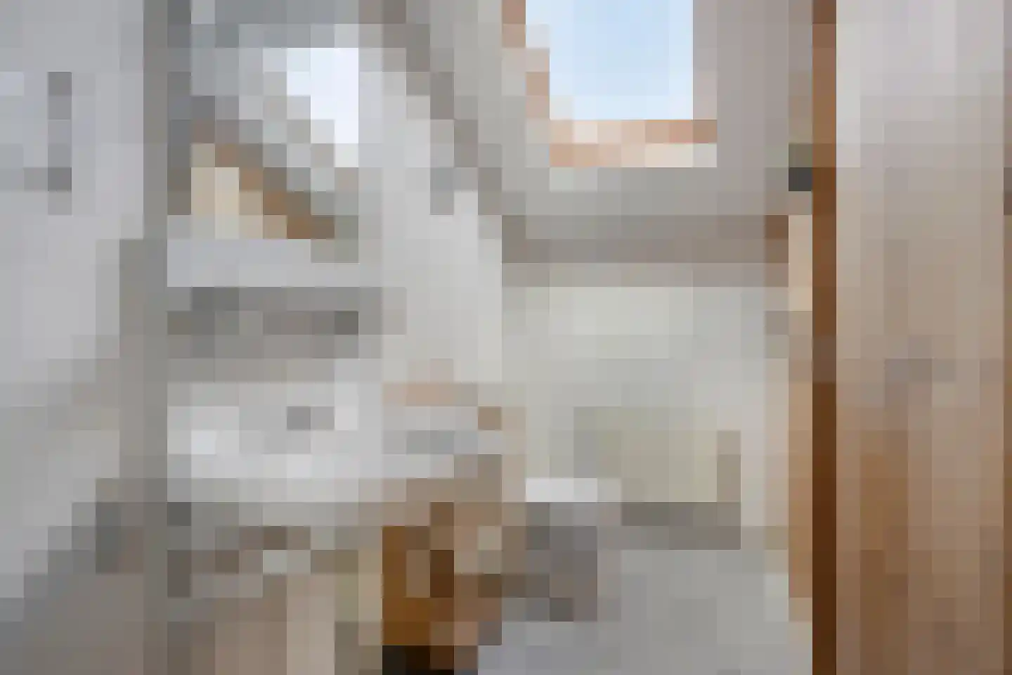 Stetweg 10 Castricum thumbnail 19