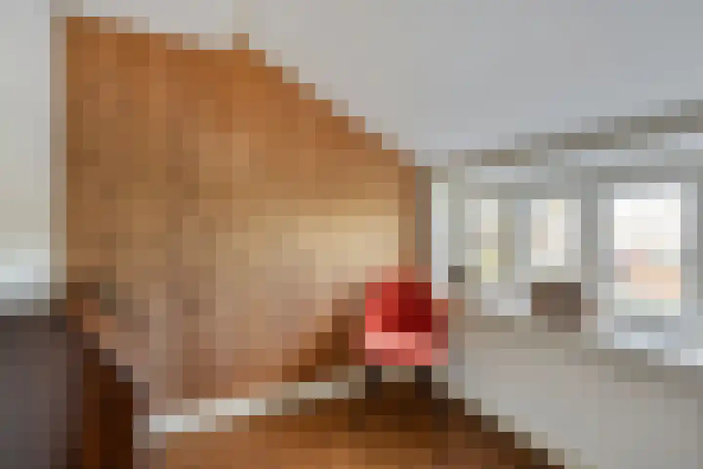 Stetweg 10 Castricum thumbnail 21
