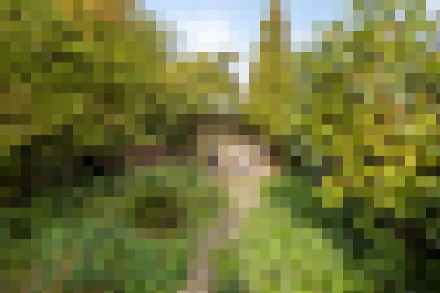Stetweg 10 Castricum thumbnail 24