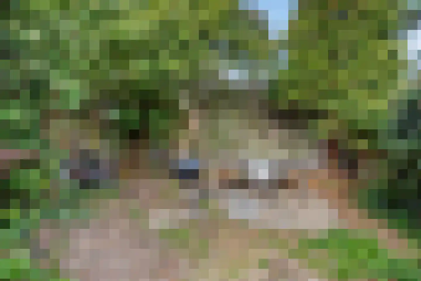 Stetweg 10 Castricum thumbnail 25