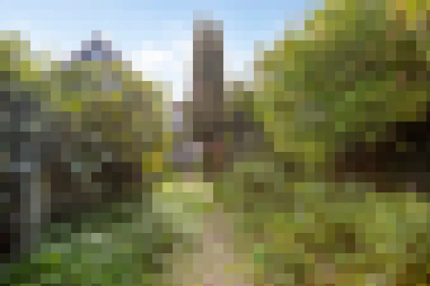 Stetweg 10 Castricum thumbnail 26