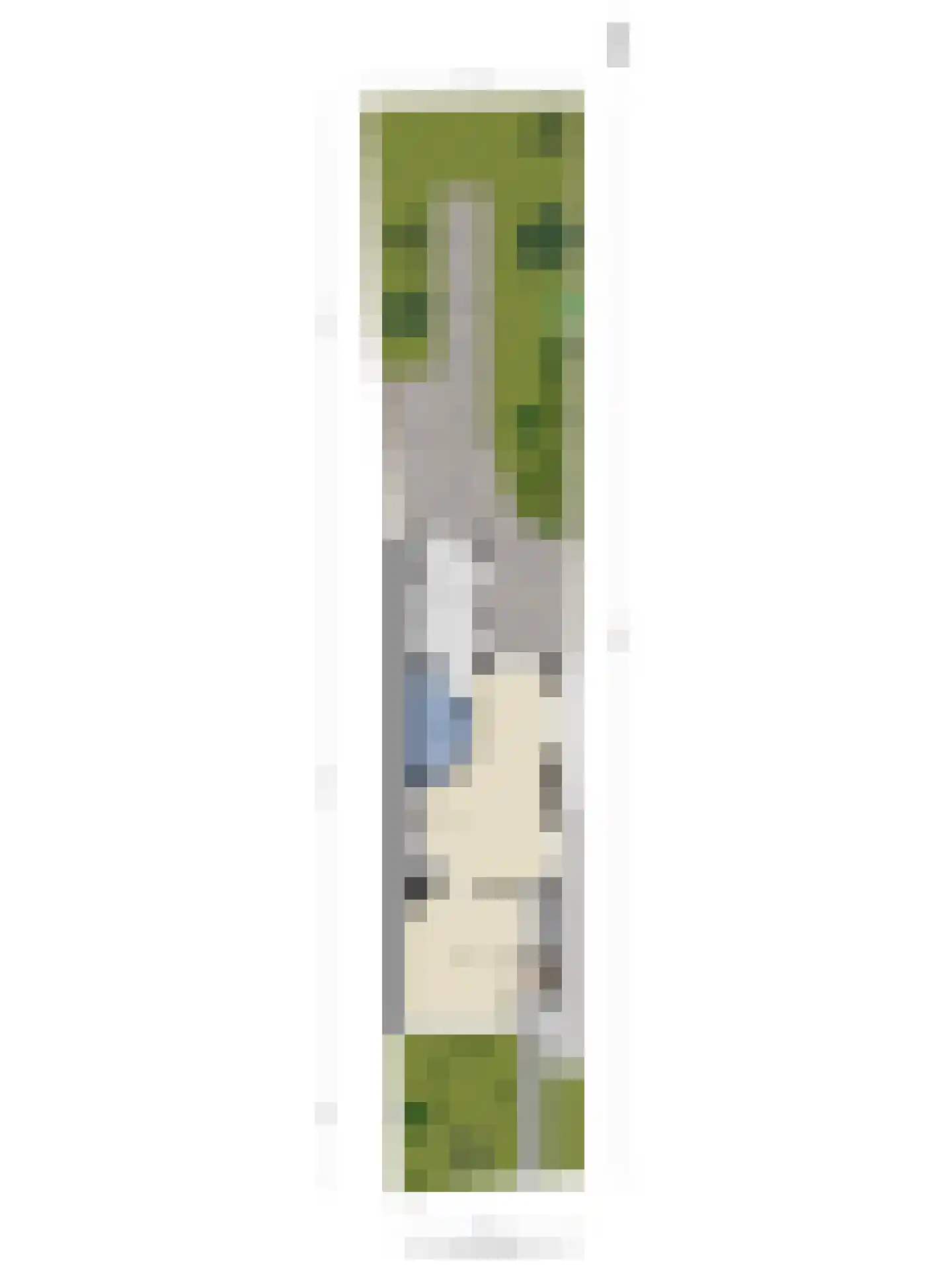 Stetweg 10 Castricum thumbnail 36