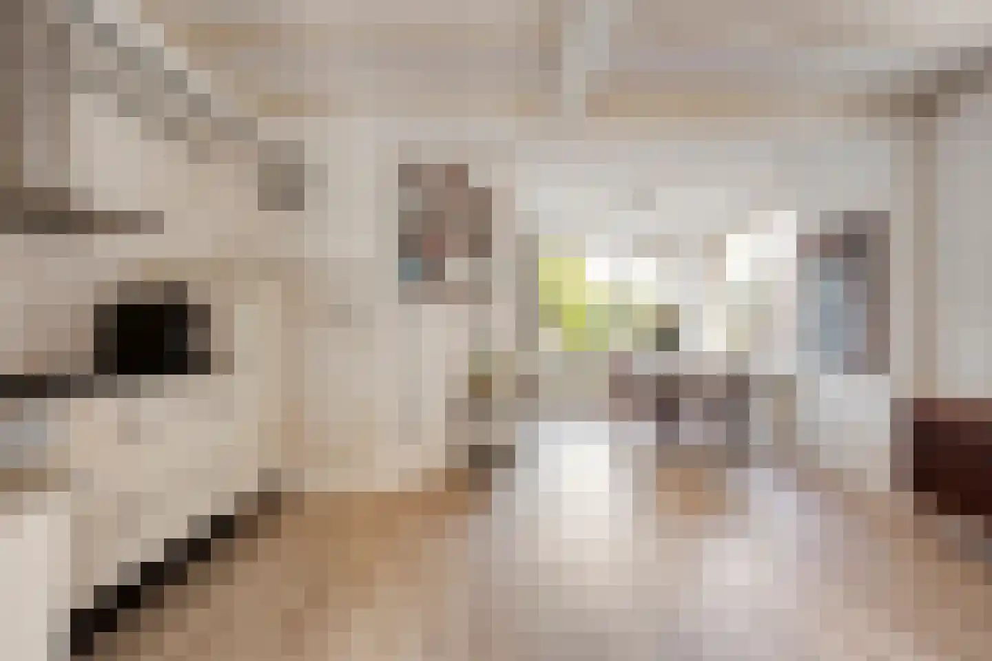 Stetweg 10 Castricum thumbnail 7