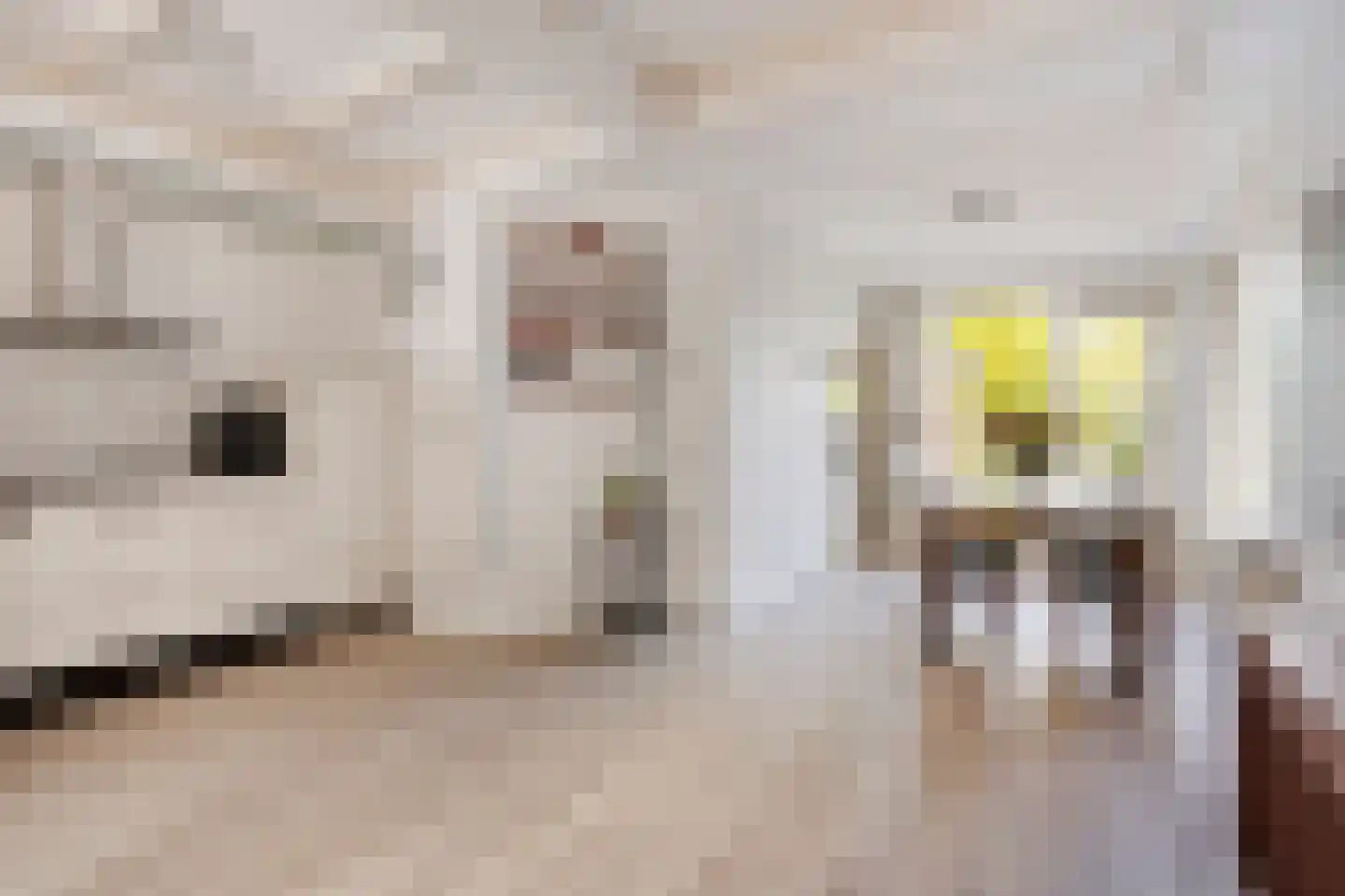 Stetweg 10 Castricum thumbnail 8