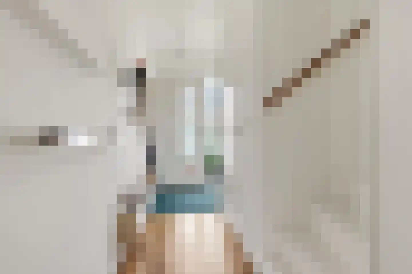 Stetweg 19 Wijk aan Zee thumbnail 20
