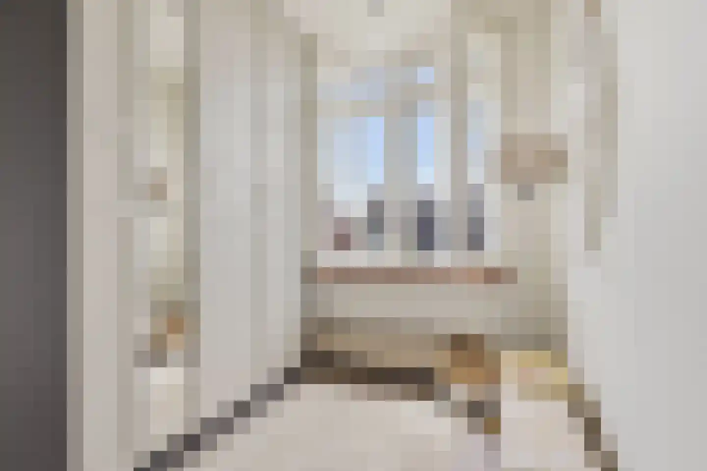 Stetweg 19 Wijk aan Zee thumbnail 24