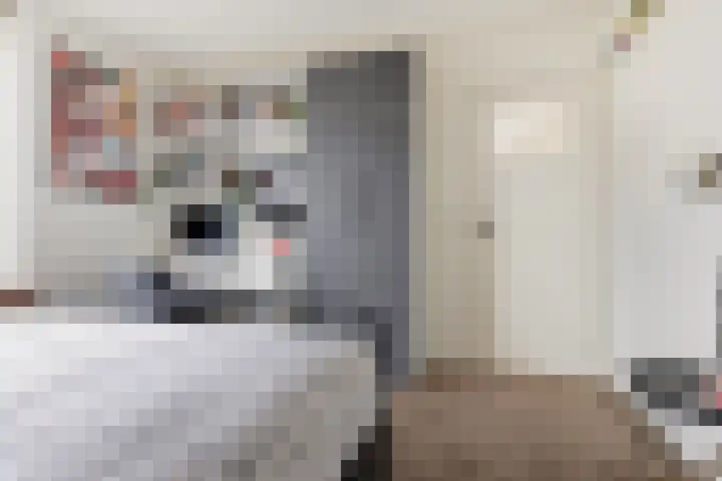 Stetweg 19 Wijk aan Zee thumbnail 27